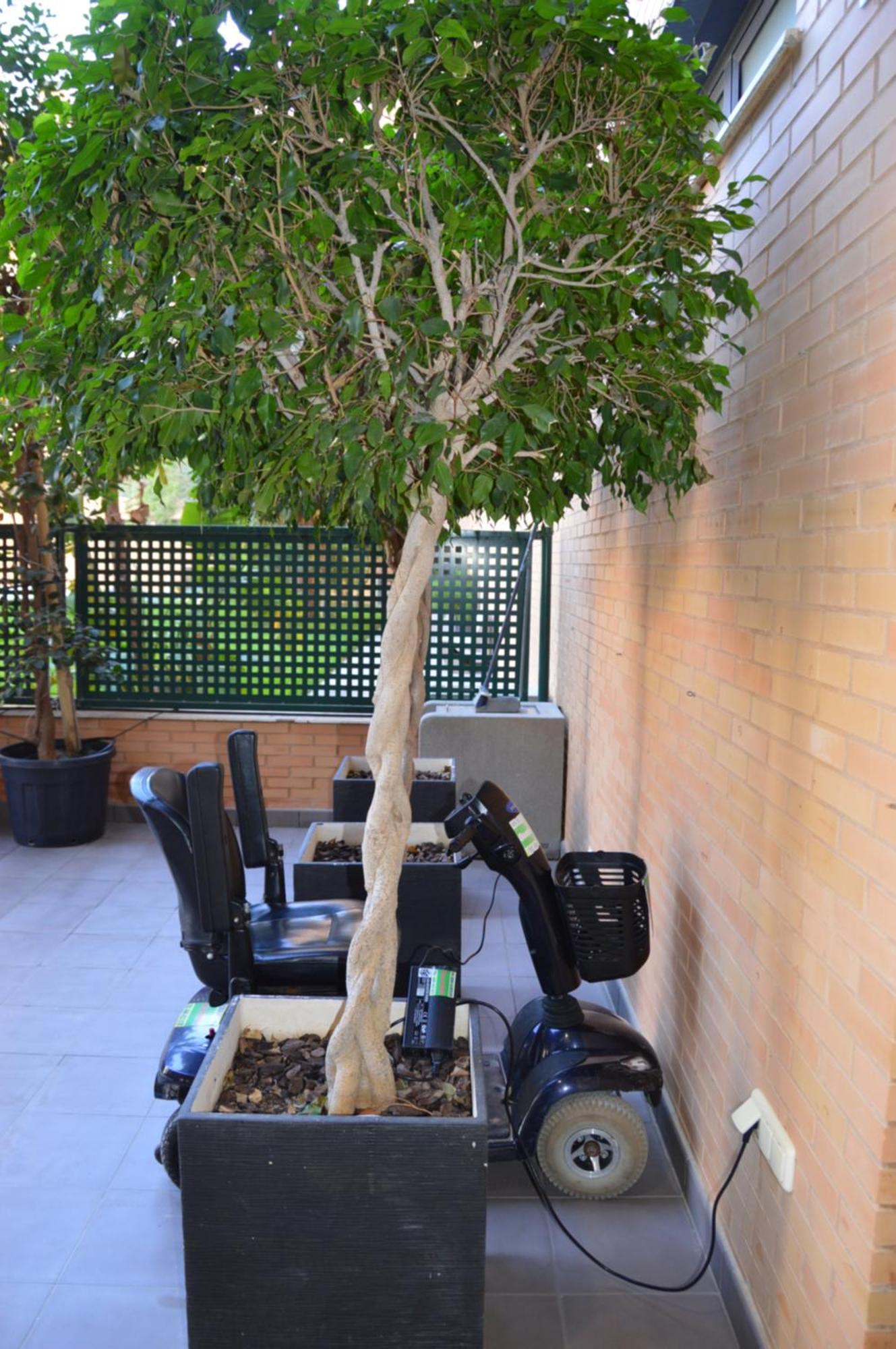 Albir Beach & Sea Apt El Albir Extérieur photo